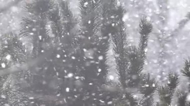 Karlı hava, kar, kış, soğuk, güzellik, kar taneleri, ahenk, beyaz, parçacık