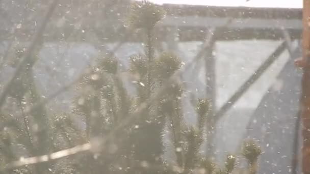 Besneeuwd Weer Sneeuw Winter Kou Schoonheid Sneeuwvlokken Harmonie Wit Deeltje — Stockvideo