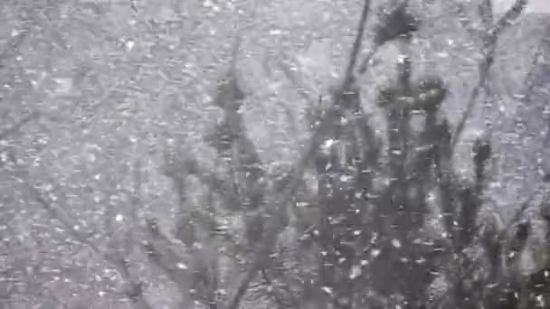 Temps Neigeux Neige Hiver Froid Beauté Flocons Neige Harmonie Blanc — Video