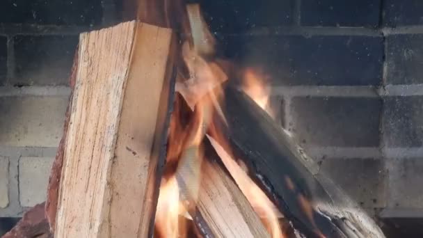 Dłonie Rozgrzewają Ogień Kominka — Wideo stockowe