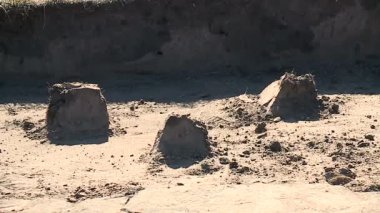 arkeoloji, paleontoloji, bilim adamları, arama