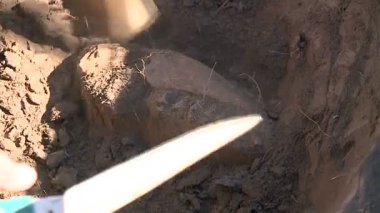 arkeoloji, paleontoloji, bilim adamları, arama