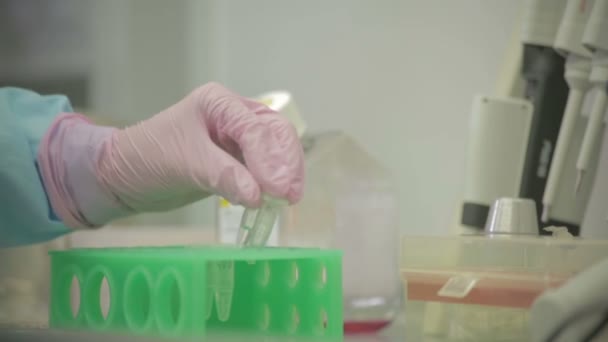 Wissenschaftlich Medizinische Laboruntersuchung Des Virus — Stockvideo