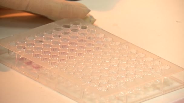 ヒトの健康の科学的遺伝学研究室 — ストック動画