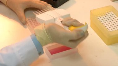 İnsan sağlığının bilimsel genetik laboratuvarı