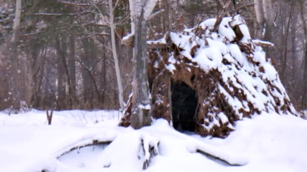 Cabana Floresta Floresta Inverno Floresta — Vídeo de Stock