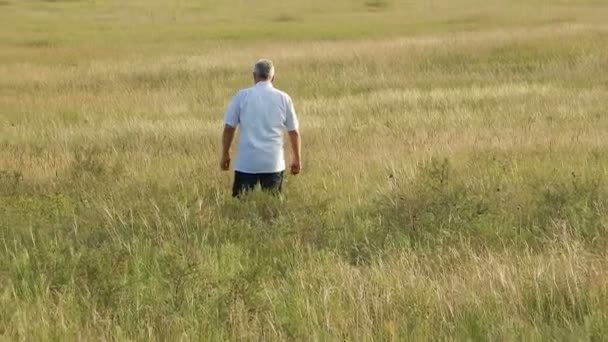 Male Farmer Walking Field — Stok Video