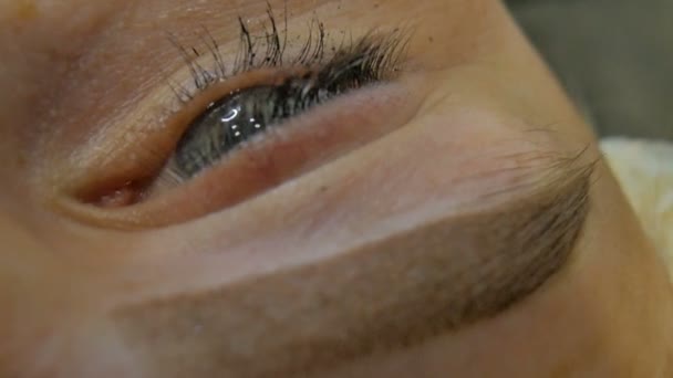 Woman Does Permanent Makeup Eyebrows — Stock Video