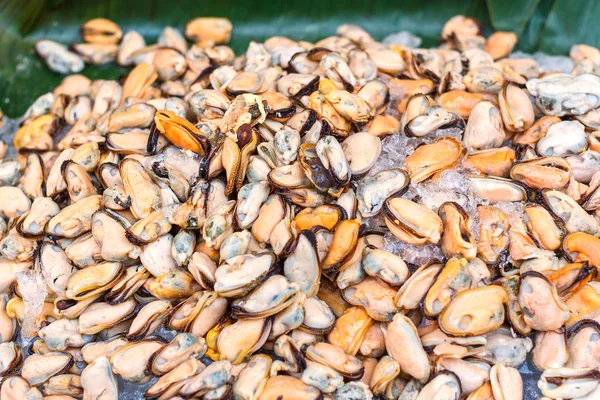 Mejillón en el mercado de mariscos sobre hielo y fondo de hoja de plátano . —  Fotos de Stock