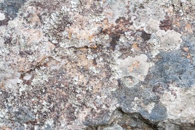 Taş iç dış tasarımı için arka plan doku.