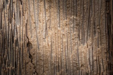 İç dış dekorasyon ve endüstriyel inşaat tasarımı için ahşap masa ahşap doku arka plan.