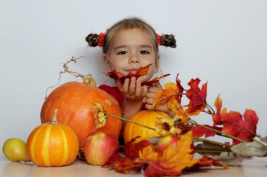 tornillo de calabaza