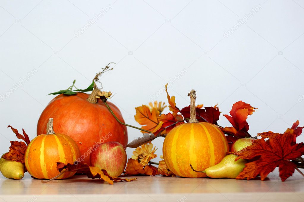 Fall harvest concept