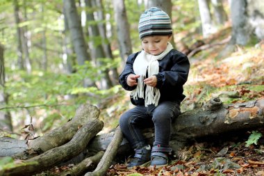 Sonbahar sezonu kavramı