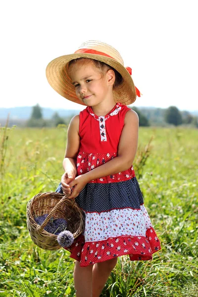 Sommer-Outdoor-Wanderungen — Stockfoto