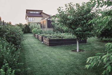 Modern yazlık evin dışındaki yeşil bahçe, bir ev yaratmak...