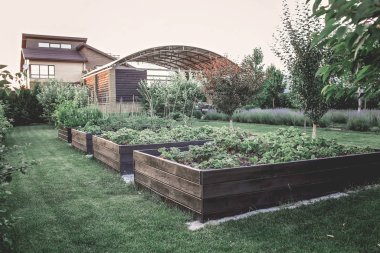 Modern yazlık evin dışındaki yeşil bahçe, bir ev yaratmak...