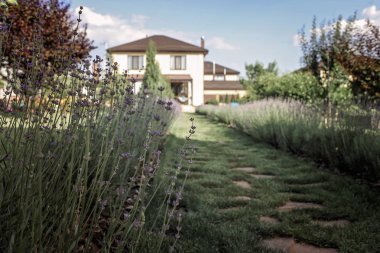 Modern yazlık evin dışındaki yeşil bahçe, bir ev yaratmak...