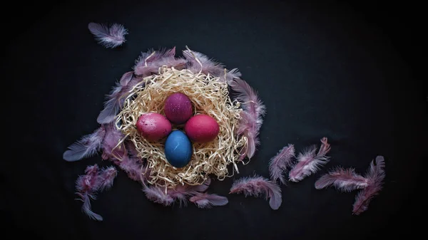 Alternative Easter composition in dark style with eggs, feather — Stock Photo, Image