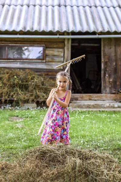 Little girl helping to gather dry hay with rake in the farm at s — Stock Photo, Image