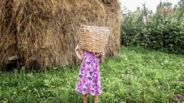 Kislány segít hordani a termést a gazdaságban nyáron, youn — Stock Fotó