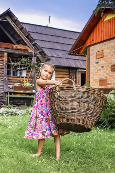 Little girl helping to carry harvest in the farm at summer, youn — Stock Photo, Image