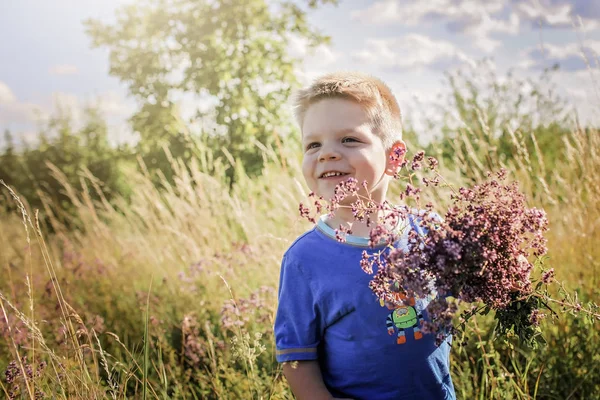 Kinderen hebben plezier in het groene gras met bloemen op de weide, g — Stockfoto