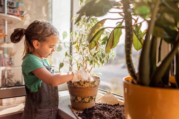 Fille Mignonne Aidant Prendre Soin Des Plantes Maison Sur Fenêtre — Photo