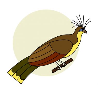 Beyaz bir arka plan üzerinde tropik kuş tepeli