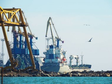 büyük liman Vinçler