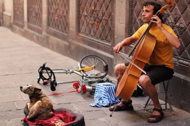 Sokak köpeğiyle, Barselona, İspanya, Keman çalmaya bir müzisyen