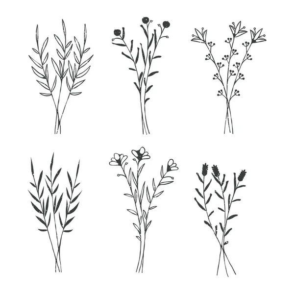 Uppsättning Rustika Buketter Fält Växter Linje Vektorillustration — Stock vektor
