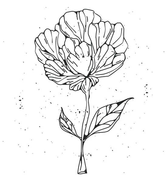 Cute Vector Rustic Flower Line Print Shabby Texture — Stock Vector
