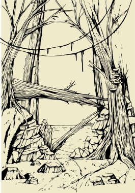 Sihirli bir ormanın el çizimi. Siyah beyaz çizim. Kitap illüstrasyonu. Grafik sanatları.