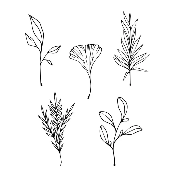 ポートフォリオ Nordenwind Ukr Net ストック写真 イラストとベクターアート Depositphotos