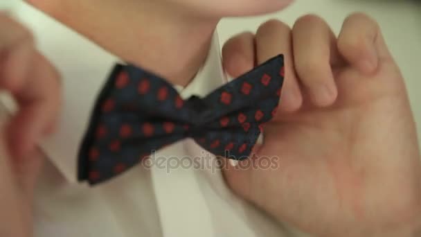 Мужчина выпрямляет галстук. Закрыть . — стоковое видео