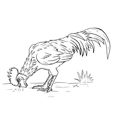 El çizimi, beyaz arka planda siyah beyaz bir horoz çizimi.