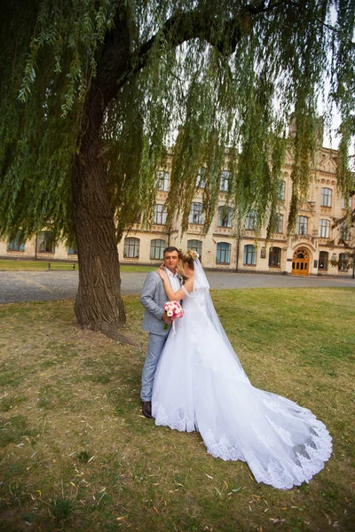 Casamento recém-casados andar — Fotografia de Stock