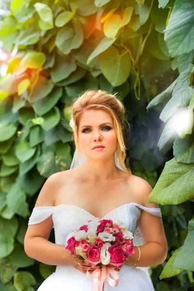 Noiva elegante em um vestido branco no dia do casamento — Fotografia de Stock