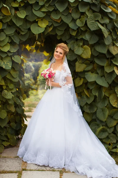 Noiva elegante em um vestido branco no dia do casamento — Fotografia de Stock