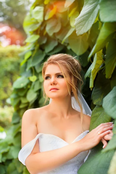 Snygg brud i en vit klänning på bröllopsdagen — Stockfoto