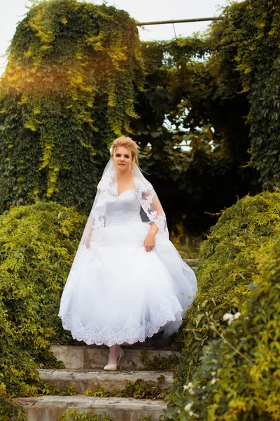 Sposa elegante in un abito bianco il giorno del matrimonio — Foto Stock