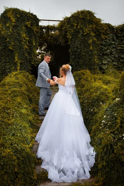 Matrimonio sposi a piedi — Foto Stock