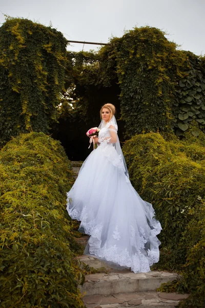 Noiva elegante em um vestido branco no dia do casamento — Fotografia de Stock