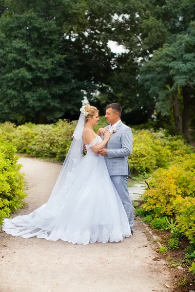 Casamento recém-casados andar — Fotografia de Stock