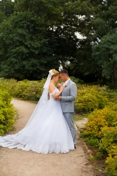 Matrimonio sposi a piedi — Foto Stock