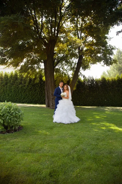 Recién casados en un paseo por el campo —  Fotos de Stock