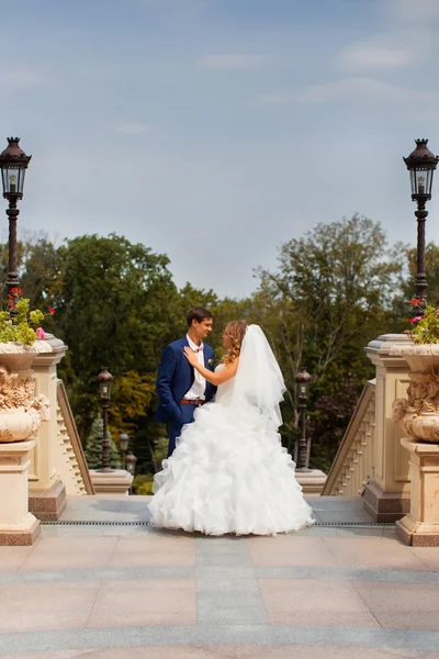 Recém-casados em um passeio no campo — Fotografia de Stock