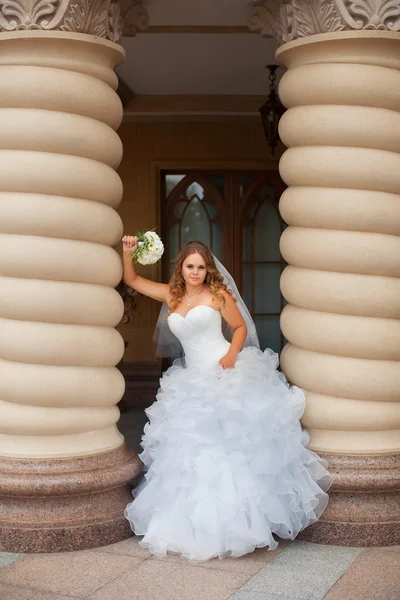 하얀 드레스를 입고 세련 된 신부 — 스톡 사진