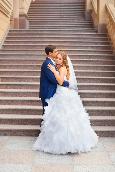 Recién casados en un paseo por el campo — Foto de Stock